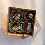 Fruit Leather  "Snails" in Chocolate